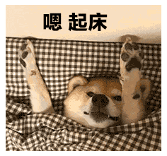 1-21110216254X43.png