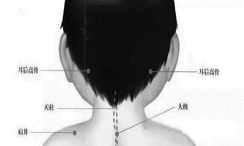 “谷雨温灸”顺应阴阳，健脾除湿(图3)